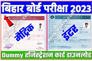 BSEB Class Matric Inte Dummy Registration Card 2022 बिहार बोर्ड मैट्रिक इंटर डमी रजिस्ट्रेशन कार्ड डाउनलोड करें