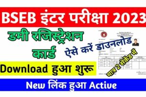 BSEB Inter Dummy Registration Card 2022 Direct Link, Inter Dummy Registration Card 2022 Download