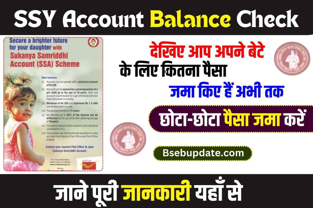 SSY Account Balance Check 2023